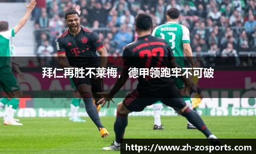 中欧体育官方网站