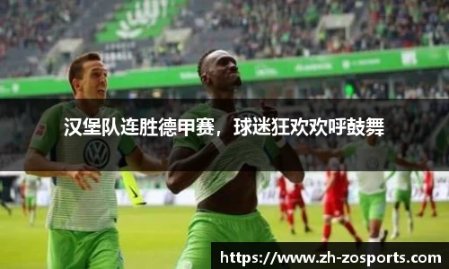 中欧体育官网