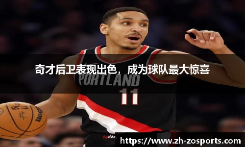 中欧体育官方网站