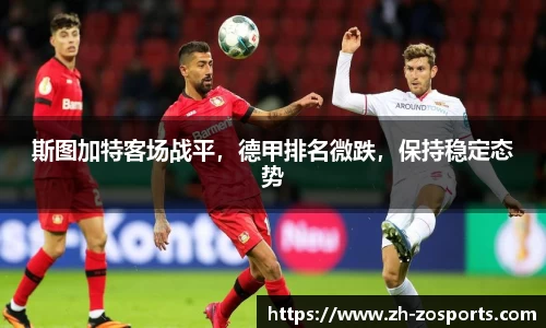 中欧体育