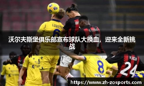 中欧体育