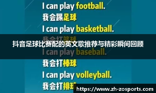 中欧体育官网