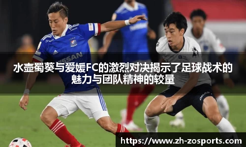 中欧体育官网