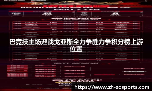 中欧体育