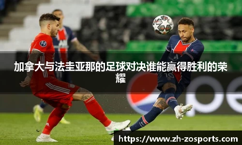 中欧体育