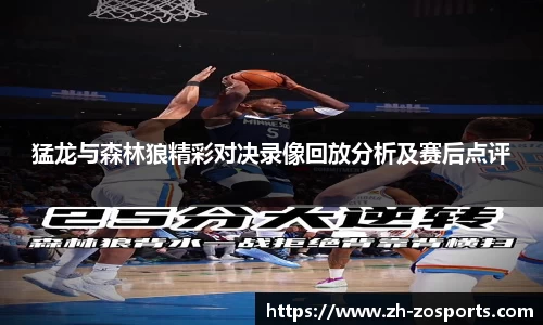 中欧体育官方网站