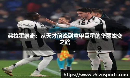 中欧体育官方网站