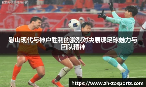 中欧体育