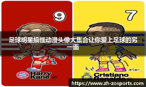 中欧体育